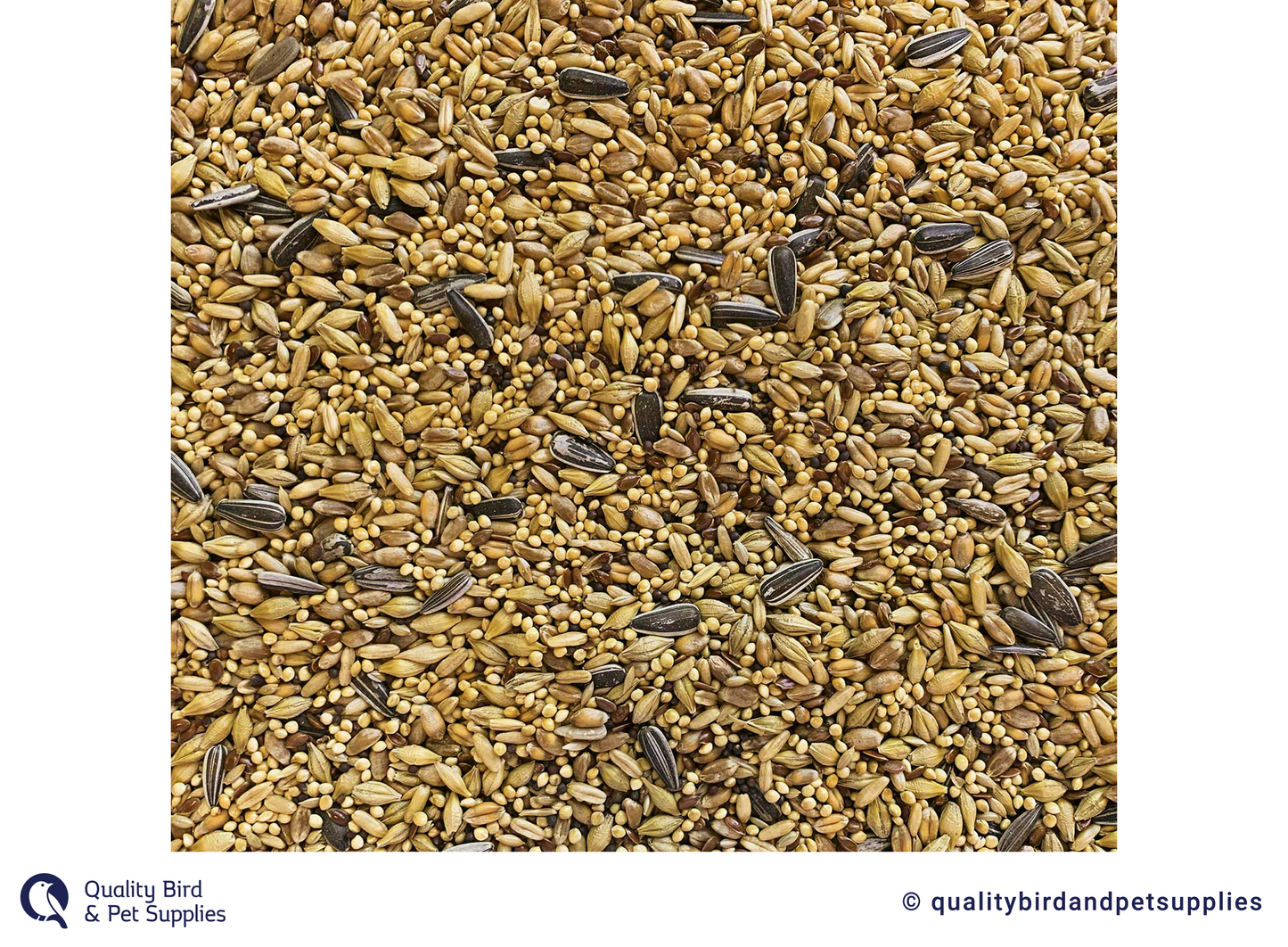 Tui - Cockatiel Seed