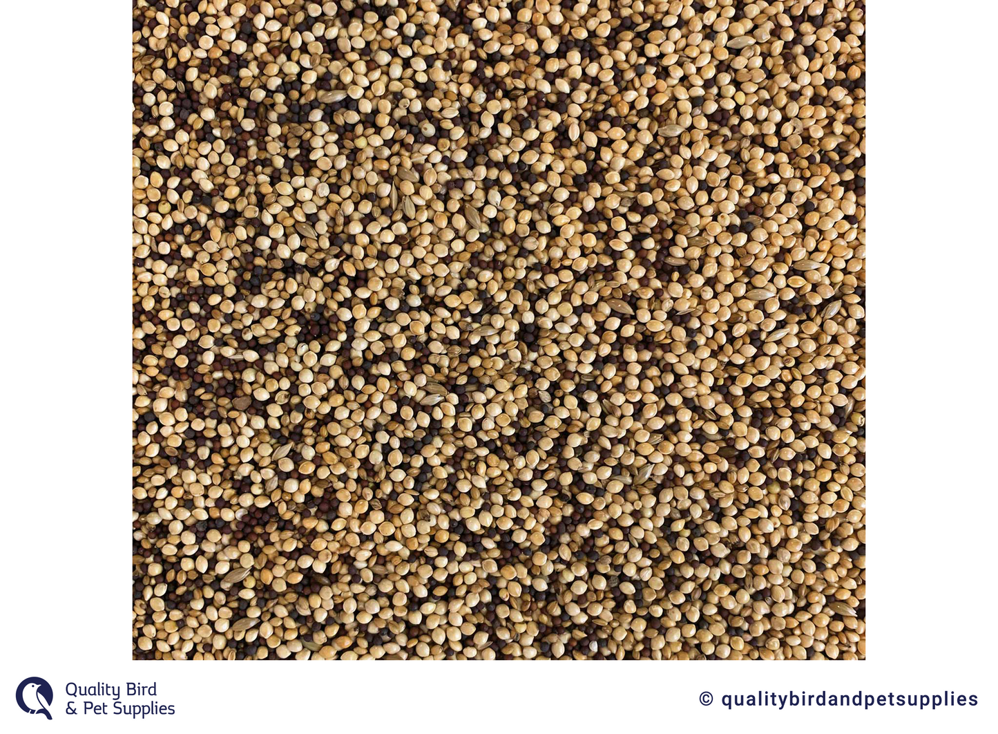 Tui - Finch Seed