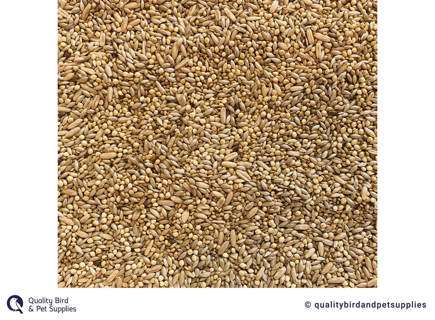 Tui - Budgie Seed