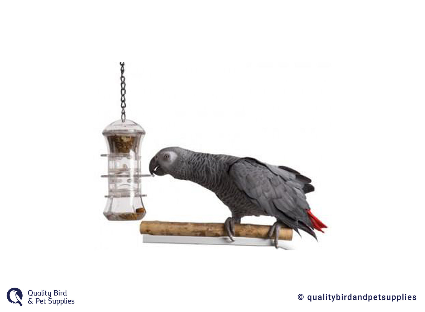 Foraging Push & Pull Toy