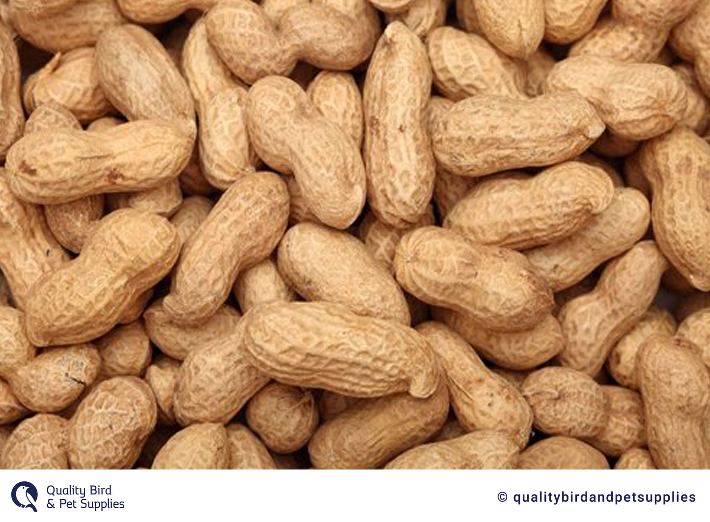 Peanuts In Shell