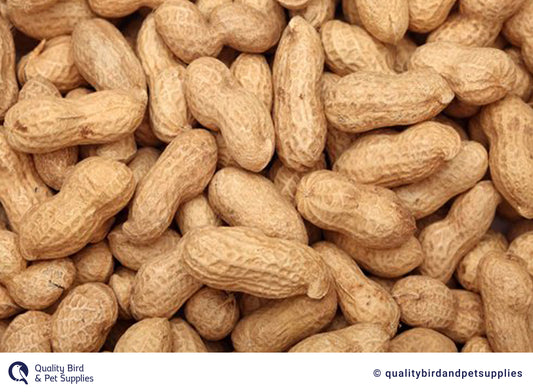 Peanuts In Shell