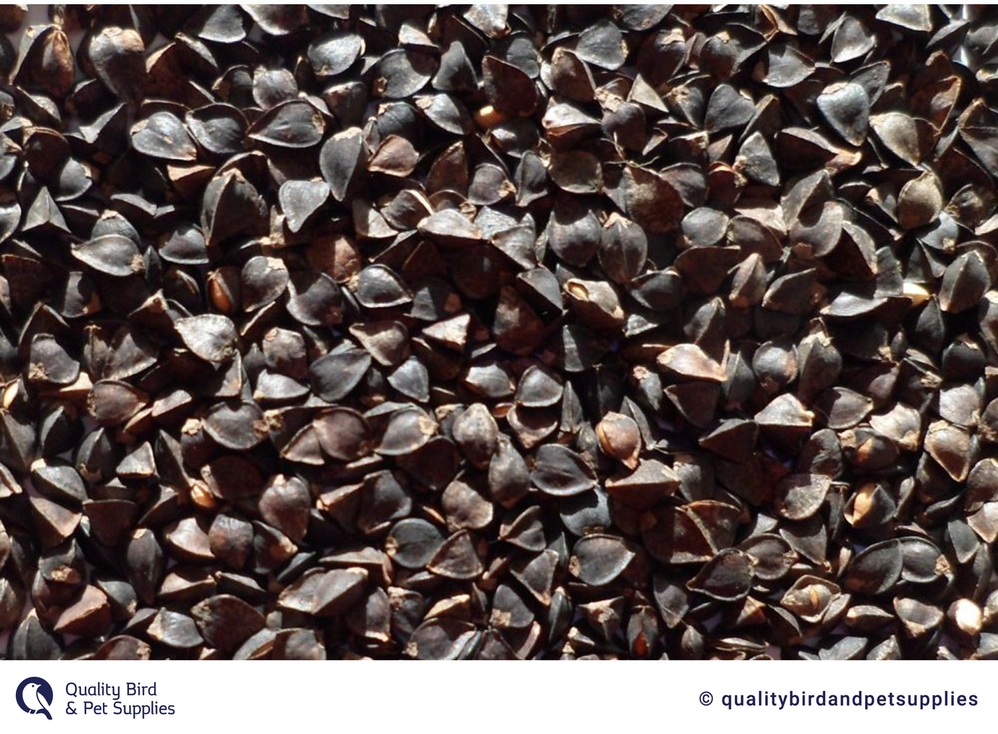 NZ Buckwheat - Topflite