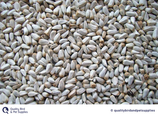 Safflower - Topflite