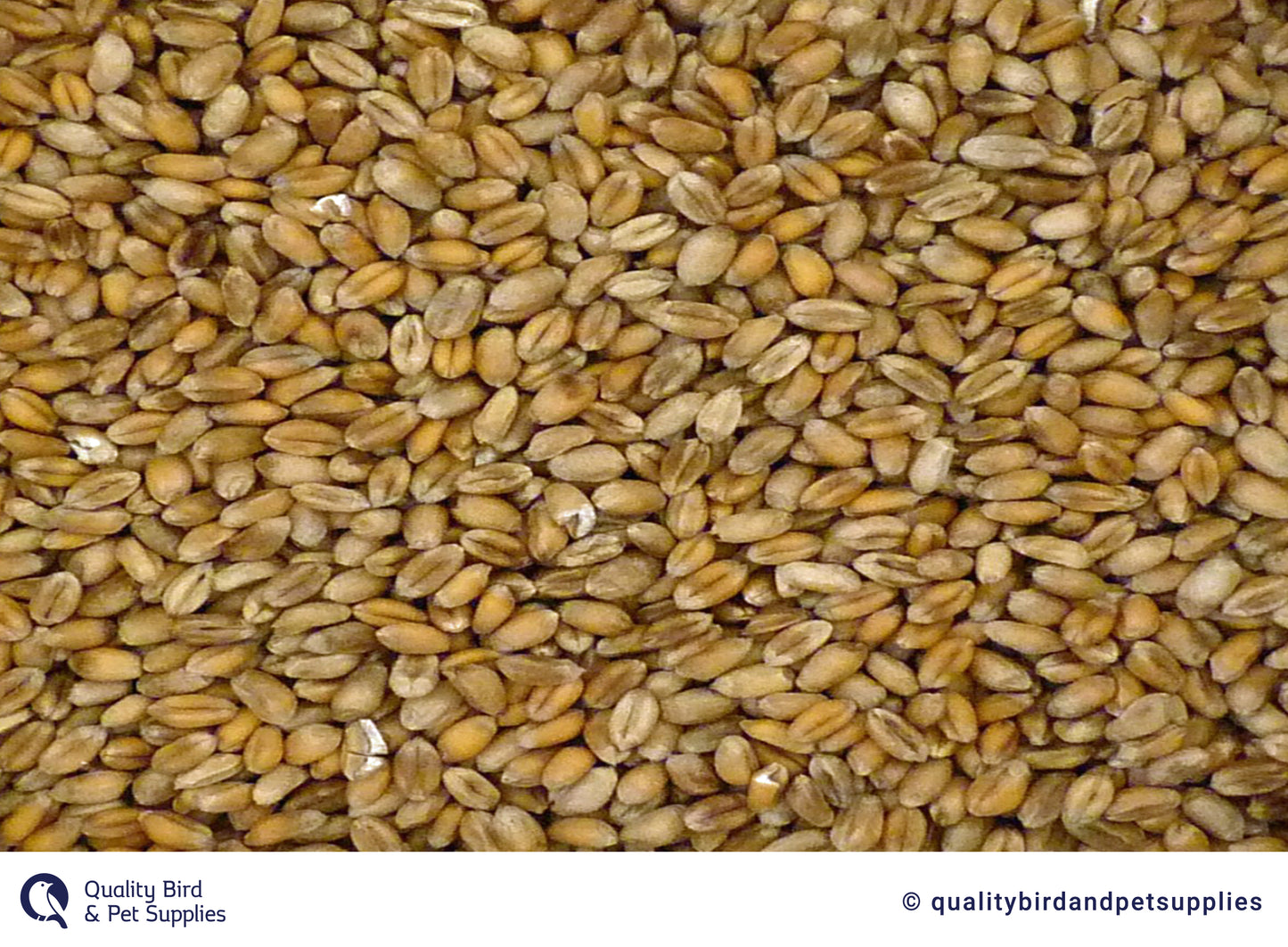 Wheat 2nd's - 20kg