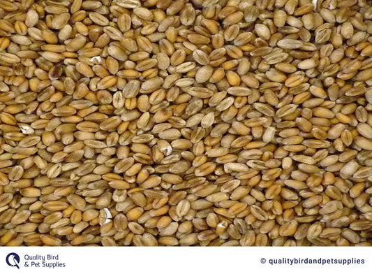 Wheat 2nd's - 20kg