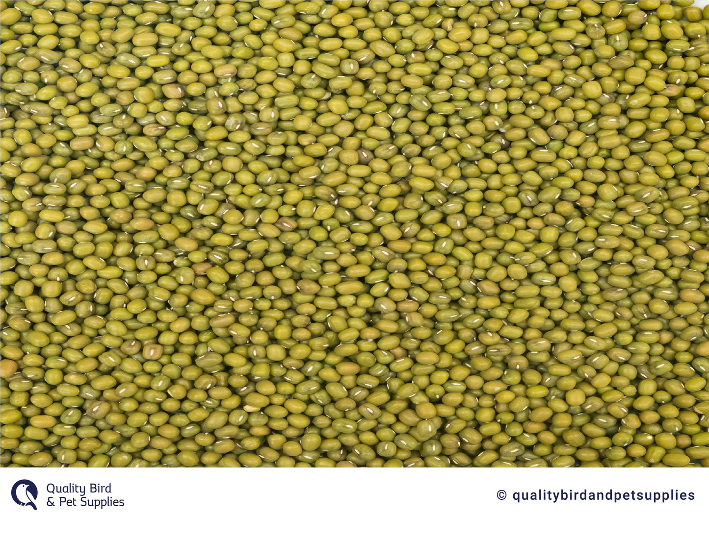 Mung Beans 1kg