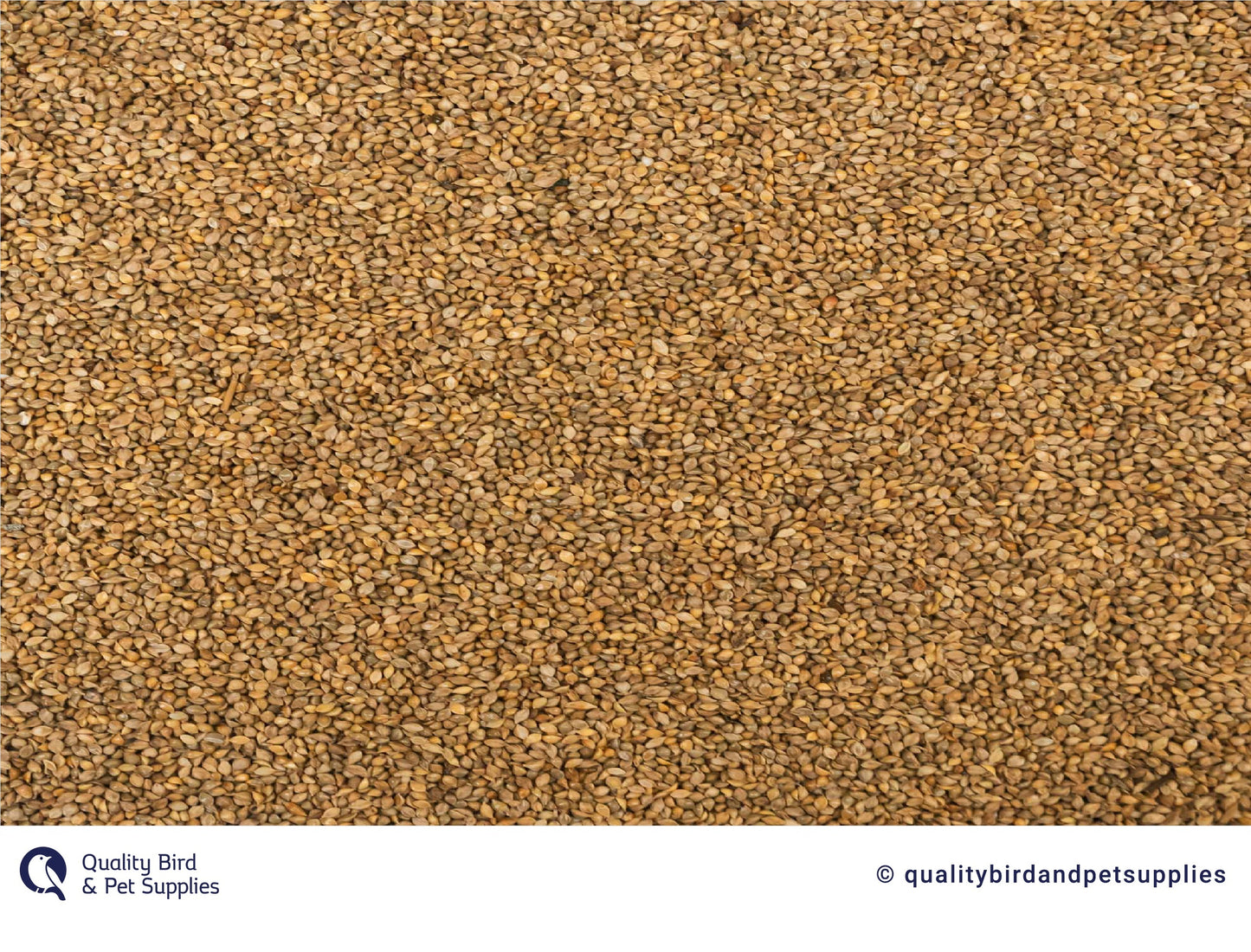 Japanese Millet - Topflite