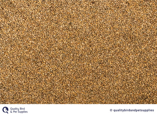Japanese Millet - Topflite