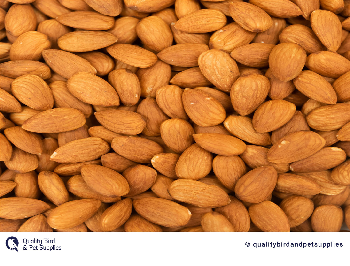 Almonds Raw 1kg