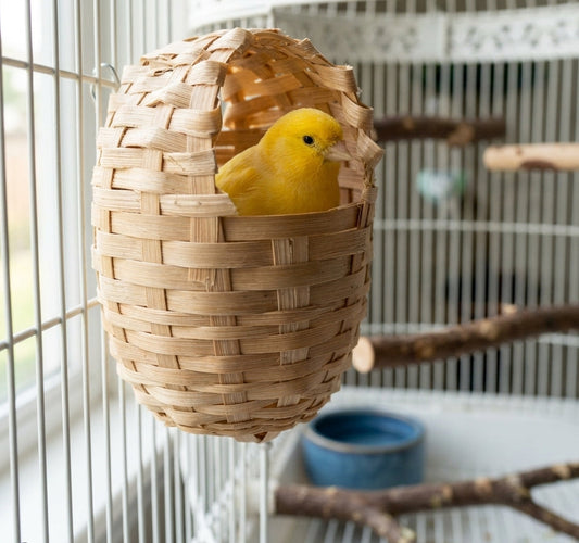 Are you ready for bird nesting season?