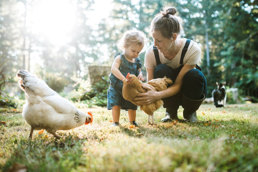 Bird Flu in New Zealand - Update 17 July 2026