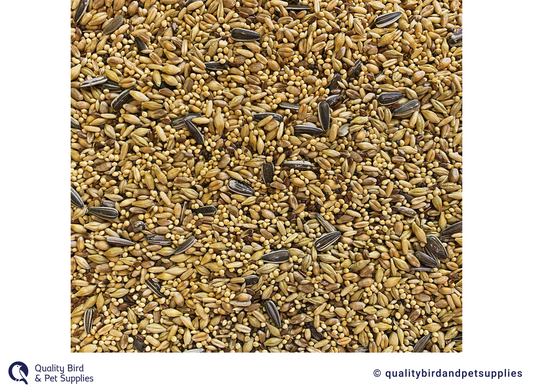 Tui - Cockatiel Seed
