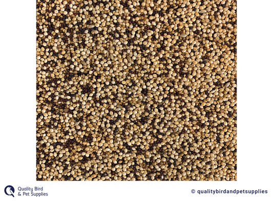 Tui - Finch Seed