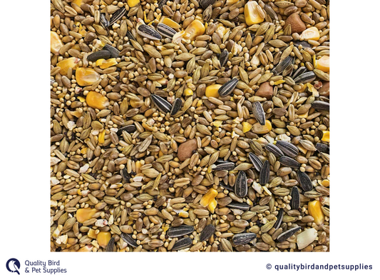 Tui - Parrot Seed