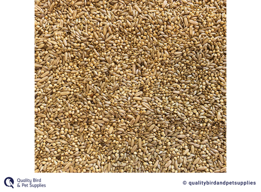 Tui - Budgie Seed