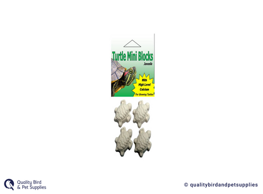 Turtle Mini Blocks 4pk