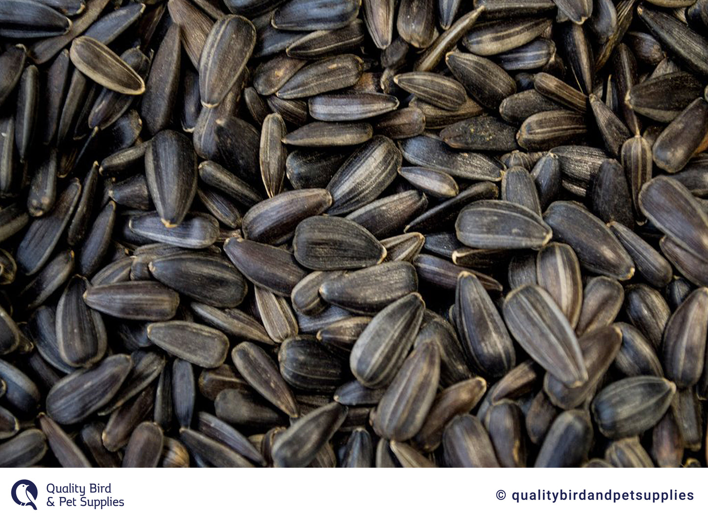 Black Sunflower Seeds  - Topflite