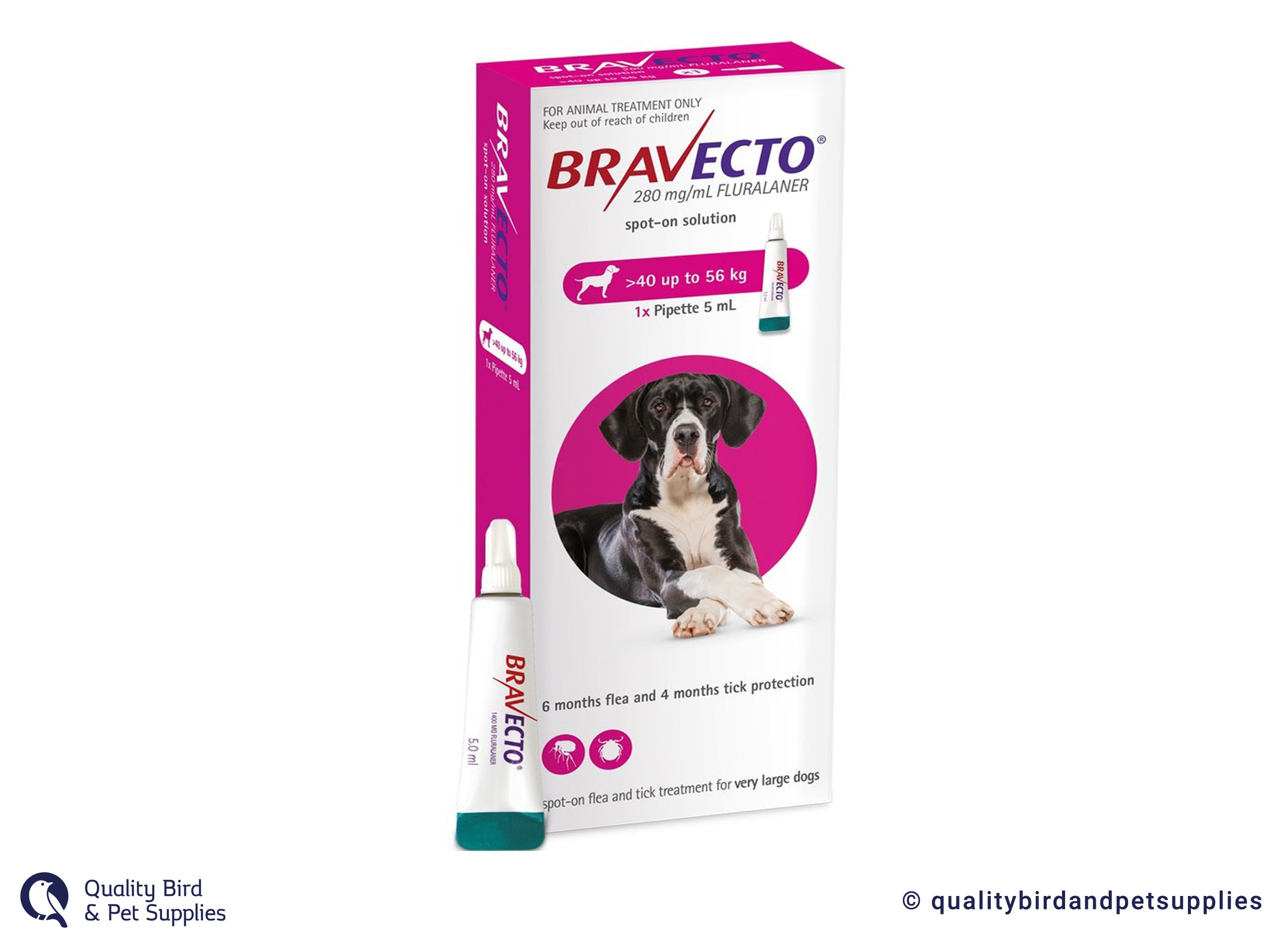 Bravecto nz 2024 6 months