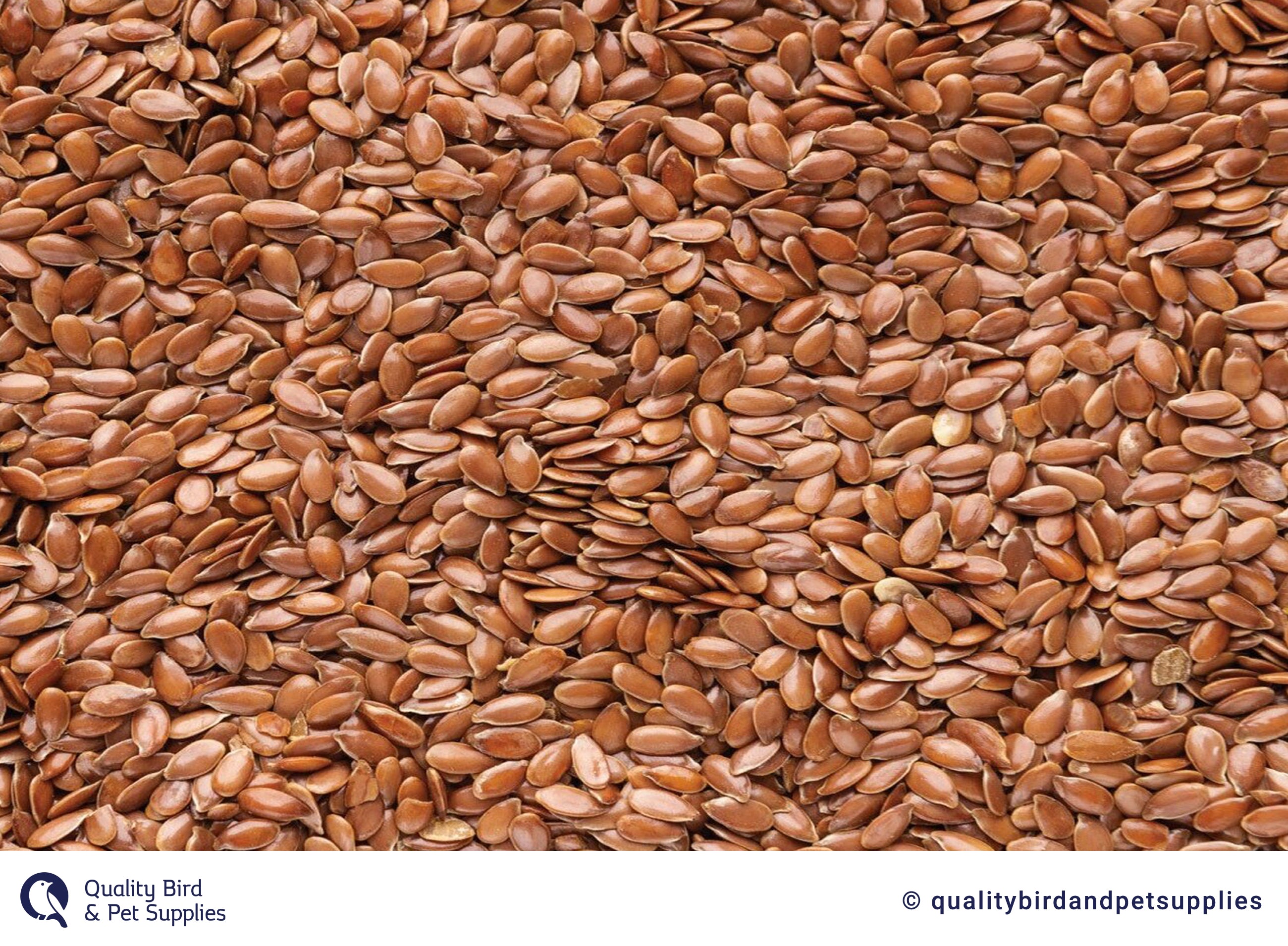 Linseed – Quality Bird & Pet Supplies