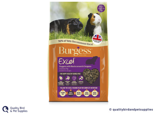 Burgess Excel Adult Guinea Pig Nuggets with Blackcurrant & Oregano 2kg